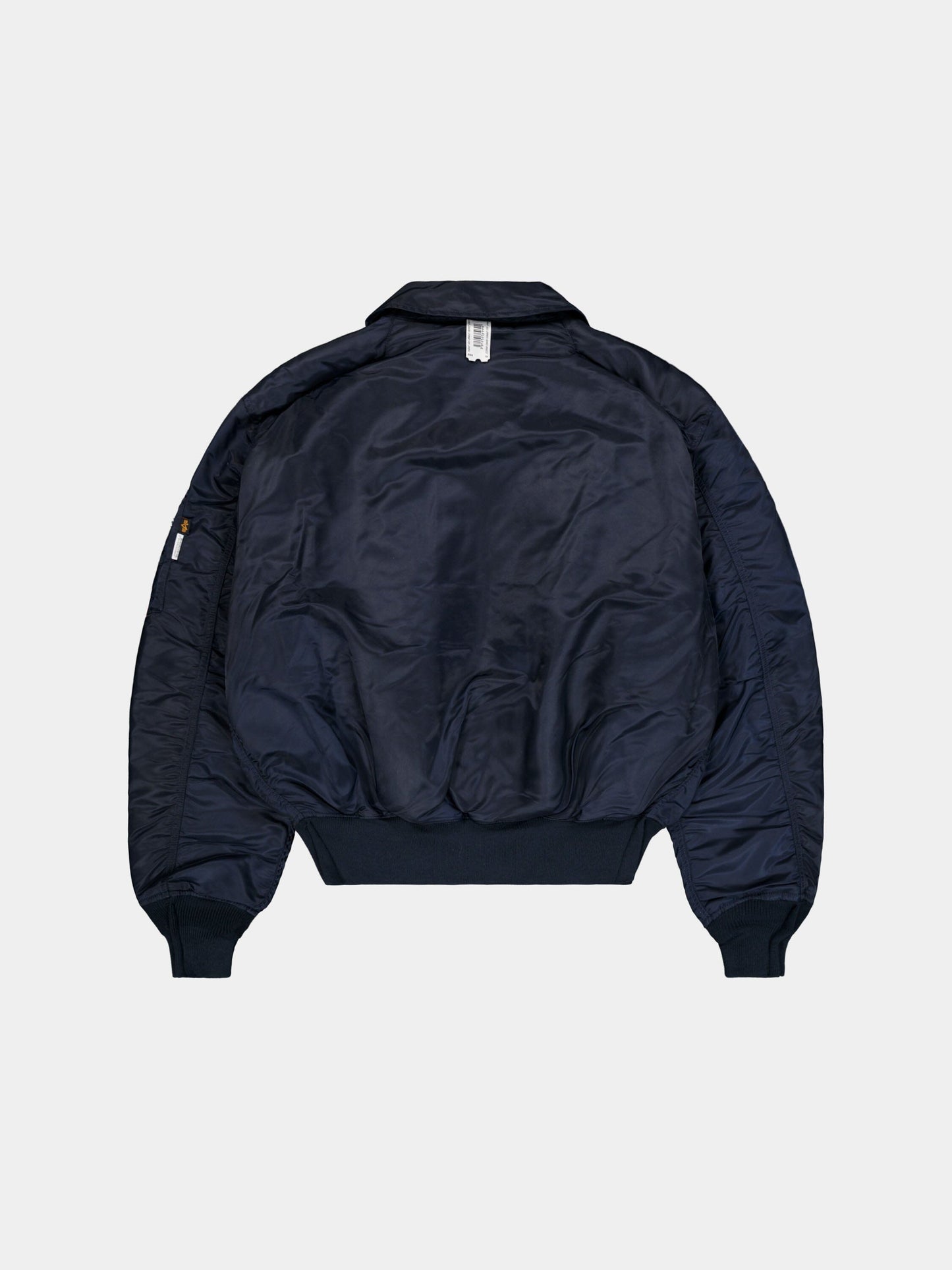PROTOTYPES X ALPHA CWU-45 OUTLINE BOMBER